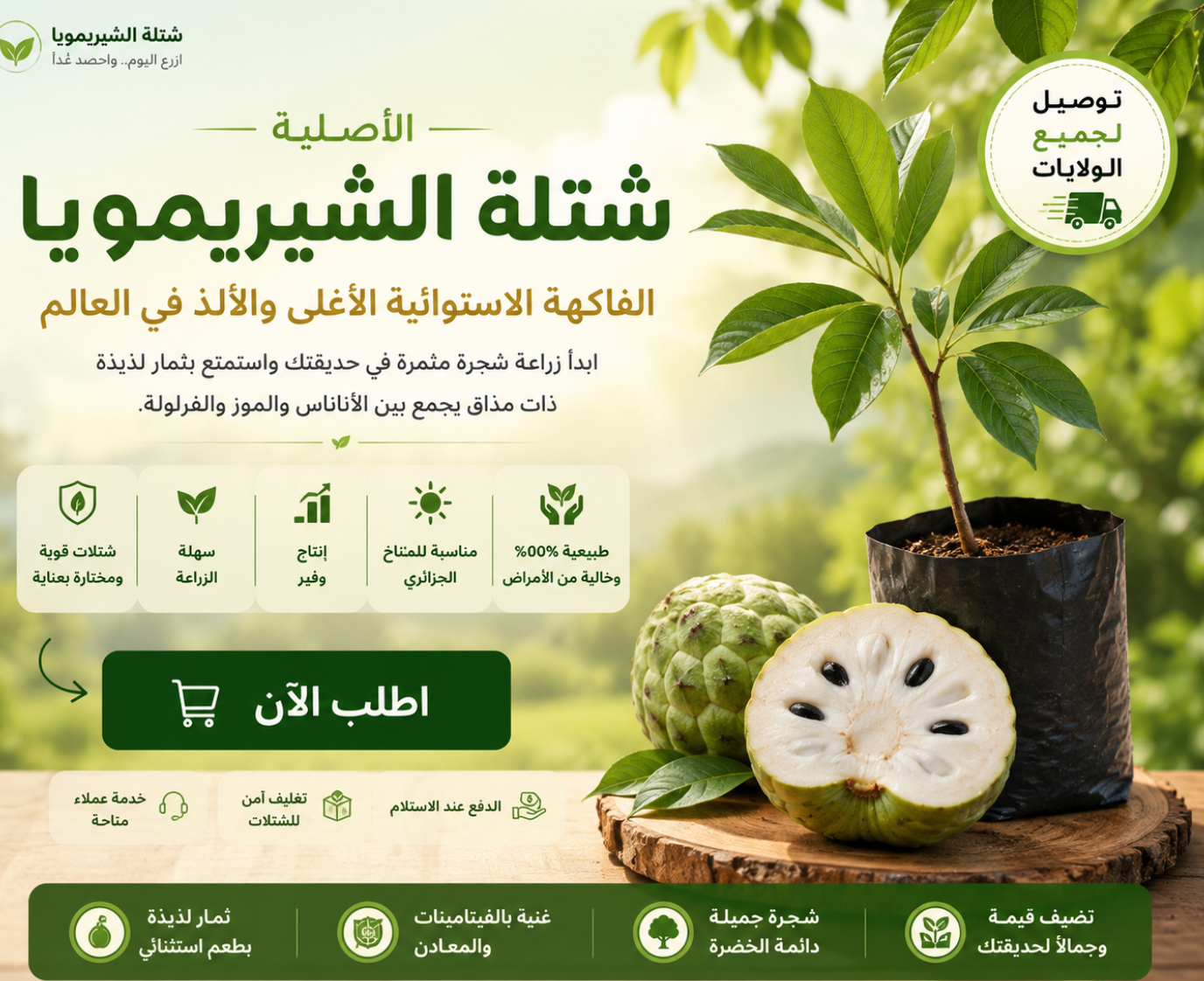 Cherimoya - شجرة الشيريمويا
