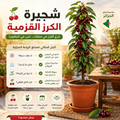 CERiSiER-شجرة الكرز