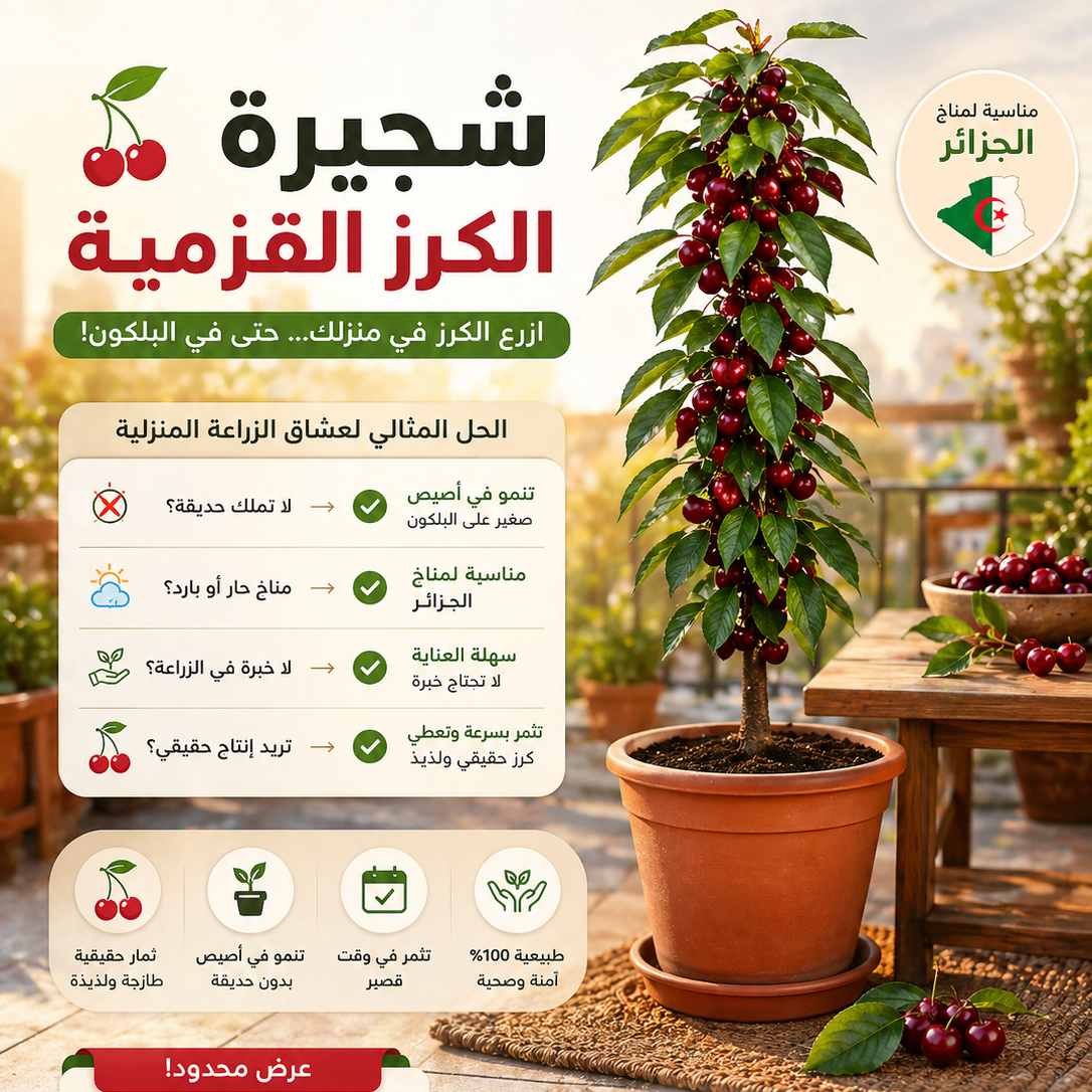 CERiSiER-شجرة الكرز